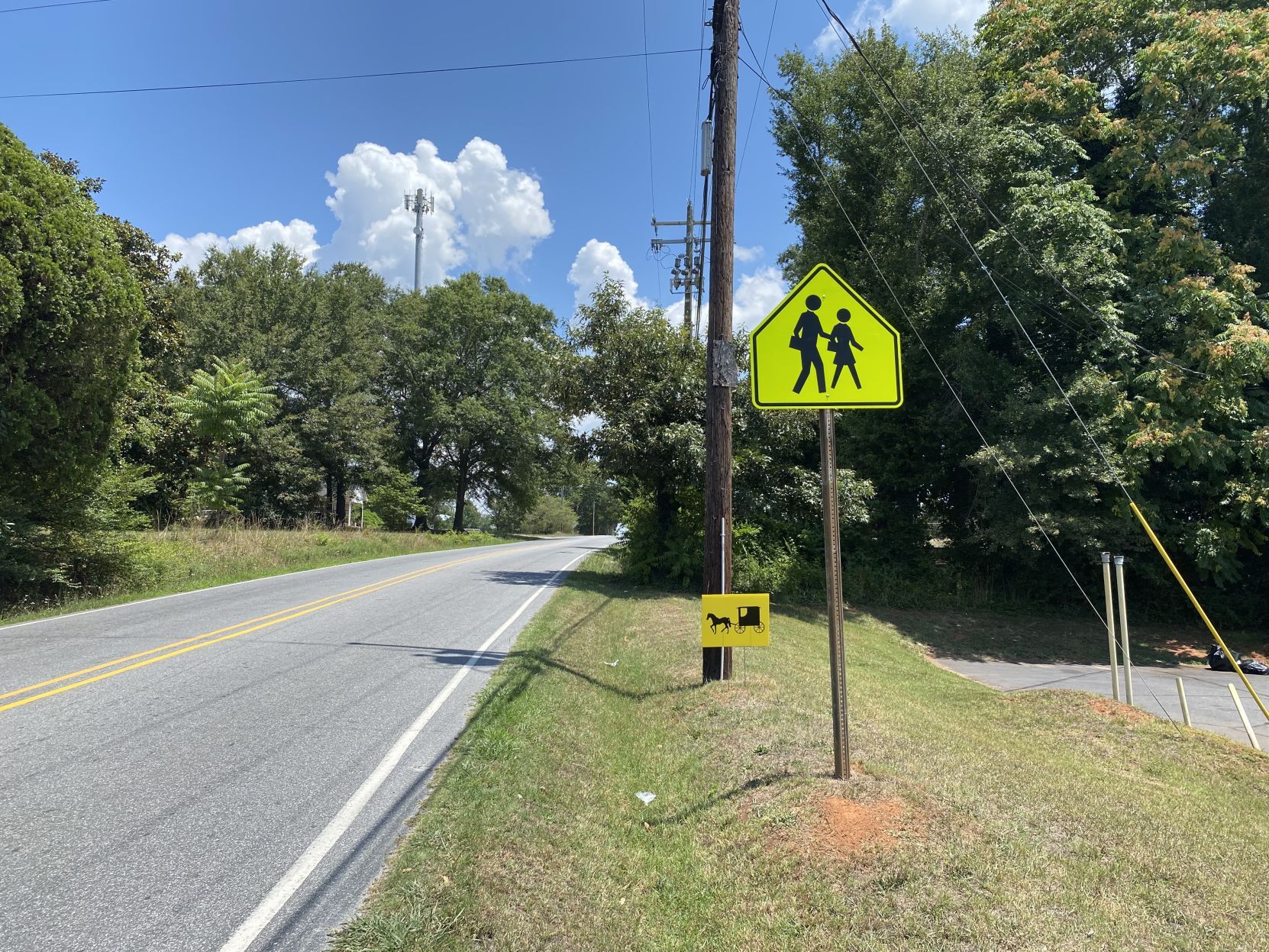 Warning: Horse and buggy ahead